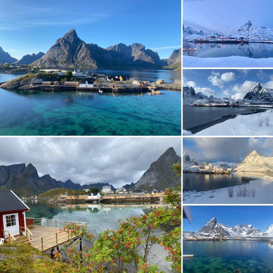Lofoten Villa Reine Dış mekan fotoğraf